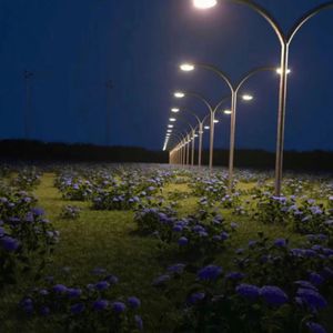 欧美人拳交少妇
